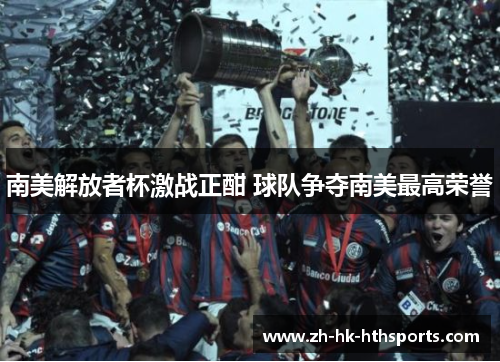 南美解放者杯激战正酣 球队争夺南美最高荣誉